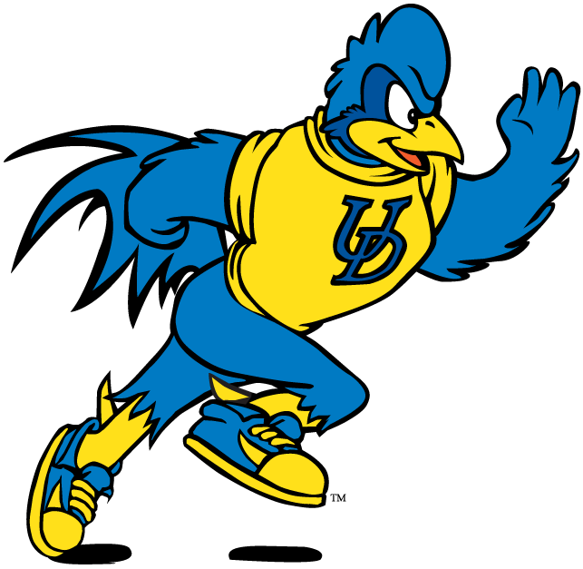 delaware blue hens 1993-pres mascot logo v10 diy fabric transfer
